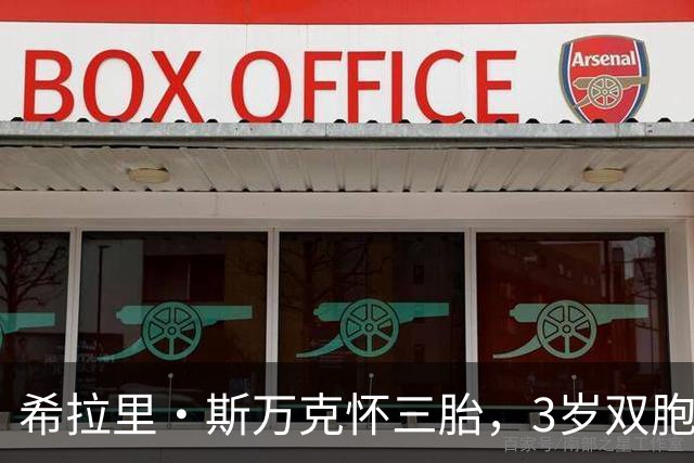 希拉里·斯万克怀三胎，3岁双胞胎每天追问圣诞到了吗