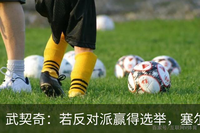 武契奇：若反对派赢得选举，塞尔维亚将直接对俄罗斯实施制裁