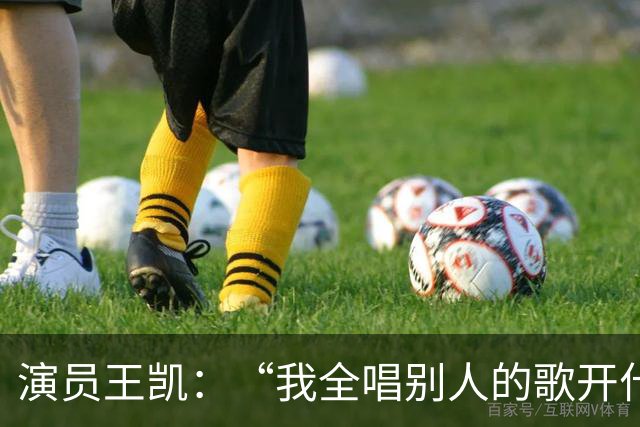 演员王凯：“我全唱别人的歌开什么演唱会”