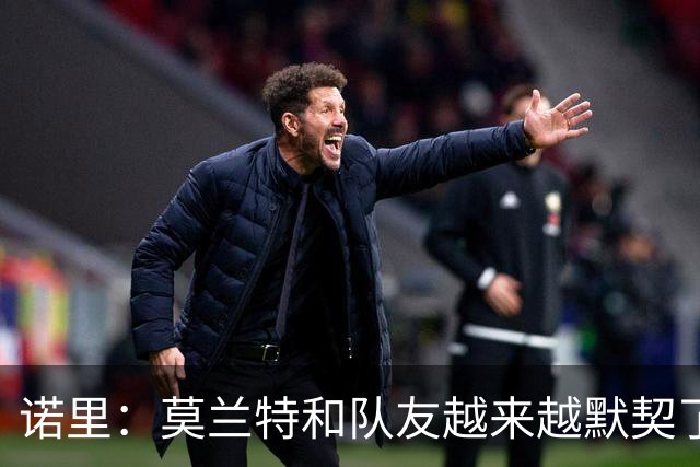 诺里：莫兰特和队友越来越默契了 比赛节奏对他而言会慢慢变慢