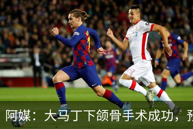 阿媒：大马丁下颌骨手术成功，预计将休战一个半月