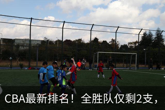 CBA最新排名！全胜队仅剩2支，辽宁北京抢第1，广东回前8，深圳青岛成倒数