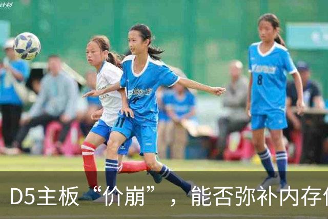 D5主板“价崩”，能否弥补内存价格差？